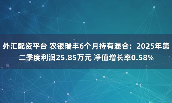 外汇配资平台 农银瑞丰6个月持有混合：2025年第二季度利润25.85万元 净值增长率0.58%