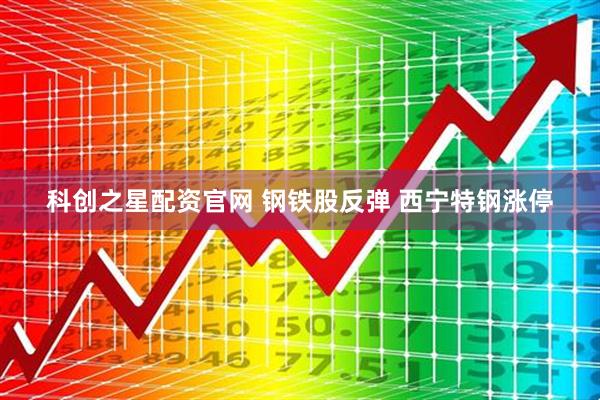 科创之星配资官网 钢铁股反弹 西宁特钢涨停