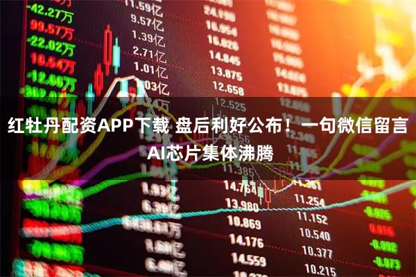 红牡丹配资APP下载 盘后利好公布！一句微信留言 AI芯片集体沸腾