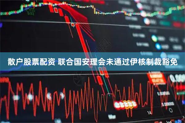 散户股票配资 联合国安理会未通过伊核制裁豁免