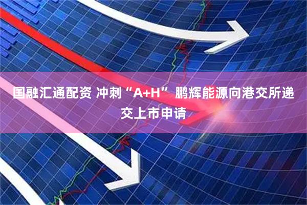 国融汇通配资 冲刺“A+H” 鹏辉能源向港交所递交上市申请