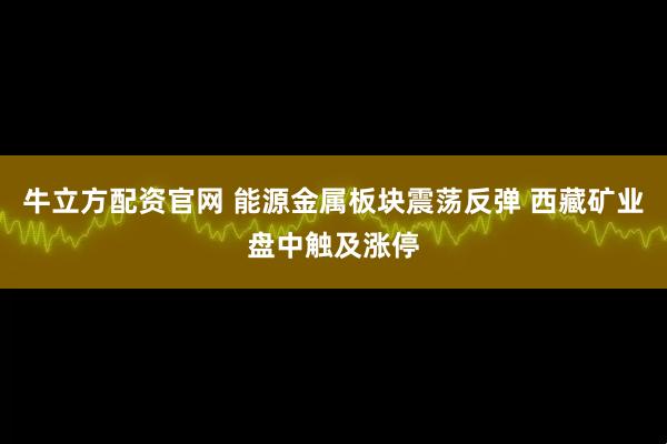 牛立方配资官网 能源金属板块震荡反弹 西藏矿业盘中触及涨停